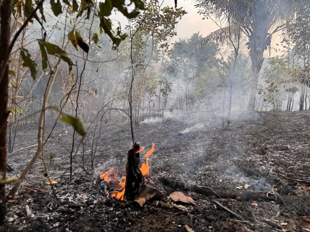 Seca Em Roraima Brasil Bate Recorde De Queimadas No Brasil Nos