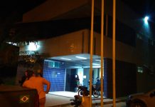 Cadela passa por cirurgia após suspeita de abuso e maus-tratos em Boa Vista