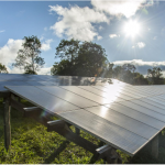 Fórum de Energias Renováveis e empresários debatem o futuro do setor em Roraima