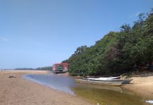 Área afetada pela seca passa de 27% para 59% em Roraima entre novembro e dezembro