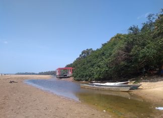 Área afetada pela seca passa de 27% para 59% em Roraima entre novembro e dezembro