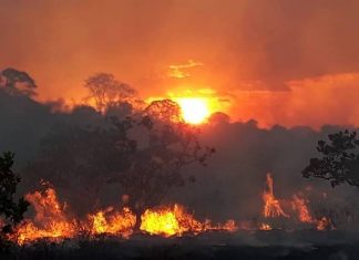 Ibama notificou 59 propriedades rurais de Roraima por risco elevado de incêndios florestais incêndio incêndios