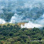 Desmatamento e violência emperram progresso na Amazônia, diz Imazon