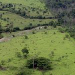 Bispos da Amazônia pedem ao Senado a retirada de tramitação do PL da Grilagem