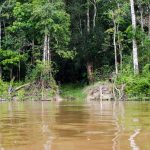 Seguem buscas por criança indígena desaparecida em rio de Roraima