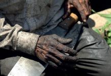 Roraima registra cinco resgates de trabalhadores em condição análoga à escravidão em 2025, aponta MTE