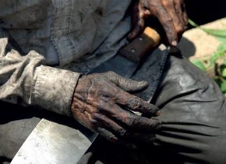 Roraima registra cinco resgates de trabalhadores em condição análoga à escravidão em 2025, aponta MTE