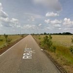Senado deve votar projeto que federaliza RR-319