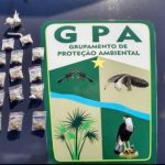Dupla é detida com 15 trouxinhas de maconha em Boa Vista