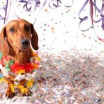 Shopping de Boa Vista oferece programação gratuita de carnaval