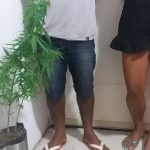Suspeitos de assaltos são presos em Alto Alegre após investigação da Polícia Civil