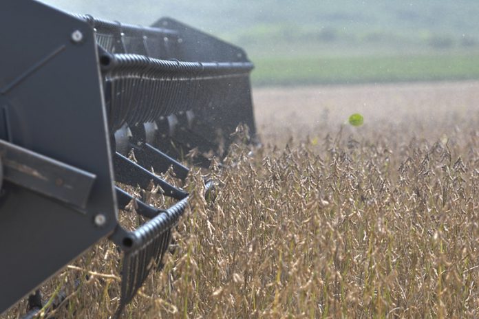 25173236707_7022e2538d_c