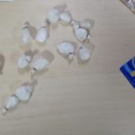 Polícia prende quatro suspeitos de tráfico no Conjunto Cidadão, em Boa Vista