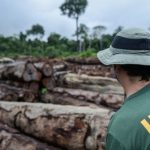 TI Pirititi, em Roraima, é uma das mais ameaçadas da Amazônia, revela Ipam