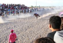 Duda Ramos propõe incluir Festejo do Bonfim no calendário turístico nacional