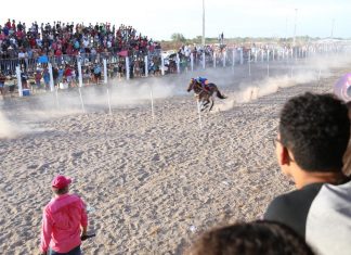 Duda Ramos propõe incluir Festejo do Bonfim no calendário turístico nacional