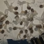 Senado aprova a PEC que criminaliza porte e posse de droga