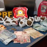 Quatro pessoas são presas com muda de maconha em Mucajaí