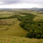 MP pede à Femarh que passe a cumprir com licenciamento ambiental em uso do solo em áreas de cerrado em RR