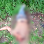Corpo decapitado é encontrado em lote em São Bento