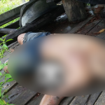 Adolescente é morto a facadas por suspeita de estupro em Rorainópolis