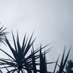 Boa Vista registra recorde no volume de chuva do ano