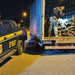 Mais de 10 m³ de madeira ilegal são apreendidos na BR-174 em Rorainópolis