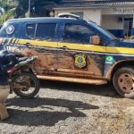 Em operação, PRF apreende madeira ilegal, recupera veículo e prende dois homens por embriaguez em Roraima