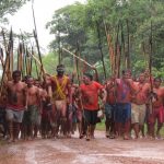 Roraima soma 2,6 mil infectados e 80 mortos por Covid-19 entre indígenas, revela Coiab