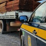 Mais de 17 metros cúbicos de madeira ilegal são apreendidos pela PRF na BR-432