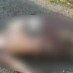 Homem é encontrado morto na BR-174 em Boa Vista