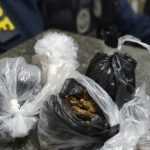 Quatro são presos pela PRF com drogas e arma na BR-174