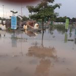 Motoristas e pedestres registram alagamentos após chuva forte na zona Oeste de Boa Vista