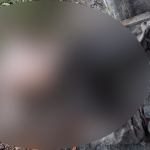 Corpo de homem é encontrado em comunidade indígena de Pacaraima