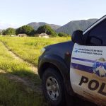 Autônomo é preso por furto de animal em Normandia