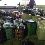 Homem é preso e mercadorias vindas da Guiana são apreendidas na BR-401