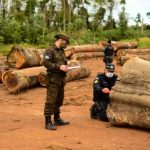 Cármen Lúcia dá 5 dias a Bolsonaro para explicar Forças Armadas na Amazônia