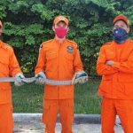 Cobra é encontrada em armário da cozinha em casa no Centro de Boa Vista