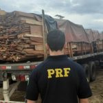 Mais de 200 m³ de madeira irregular vinda de Roraima são apreendidos em Manaus