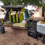 Vendedores de frutas reclamam de fiscalização da Prefeitura de Boa Vista na zona Oeste; ‘deixa as pessoas trabalharem!’