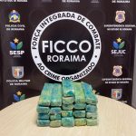 Homem é preso com 20kg de supermaconha na BR-174