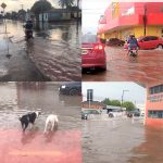 Opinião: Chuva mostra que, como prefeita, Teresa é uma boa jardineira