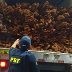 Madeira irregular vinda de Roraima é aprendida pela PRF em rodovia no Piauí