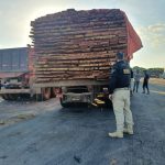 Mais de 20 m³ de madeira irregular são apreendidos pela PRF na BR-174