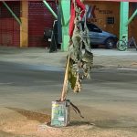 Moradores colocam bananeira em trecho de avenida de Boa Vista para sinalizar obra inacabada