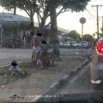 Ministério Público e órgãos públicos discutem solução para crianças pedindo dinheiro nas ruas de Boa Vista