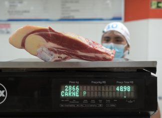 União Europeia suspende importação de carnes e ovos do Brasil por regras sanitárias