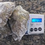 Casal suspeito de tráfico é preso com ‘supermaconha’ na zona Oeste de Boa Vista