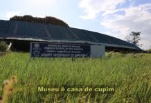 Justiça ordena construção de nova sede e condena Roraima por abandono do Museu Integrado de Roraima