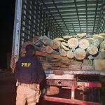 Carga com 12m³ de madeira irregular é apreendida pela PRF na BR-432